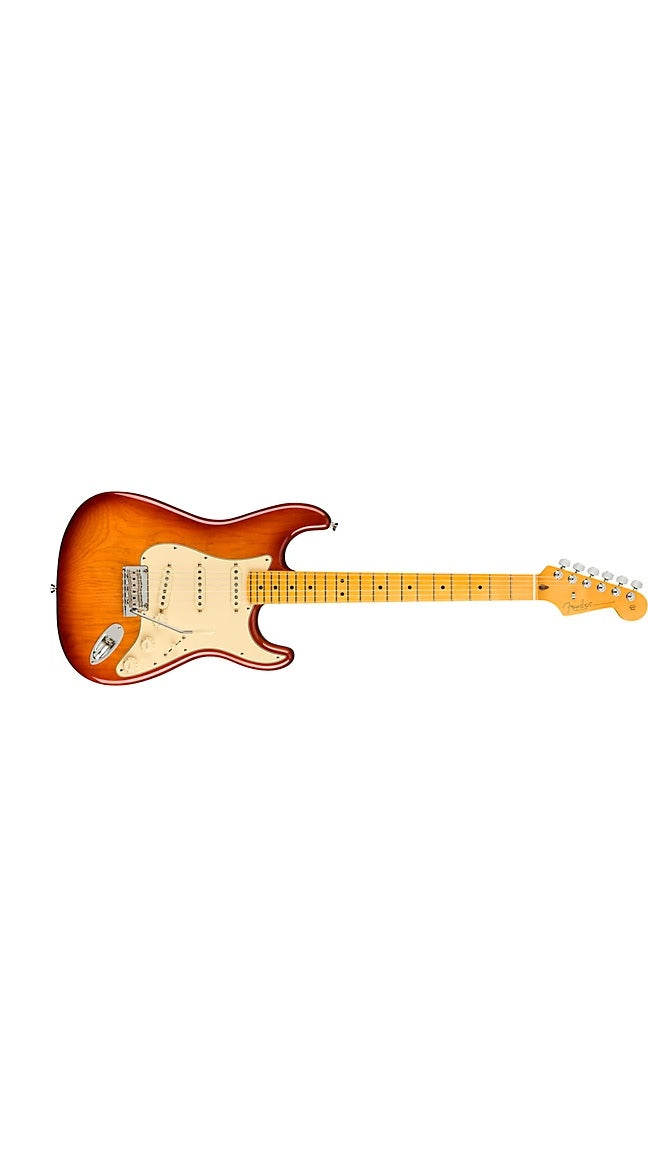 a...FENDER AMERICAN USA Professional II Roasted Pine Stratocaster Maple Fingerboard Electric Guitar Sienna Sunburst w/FENDER TWEED CASE NEW