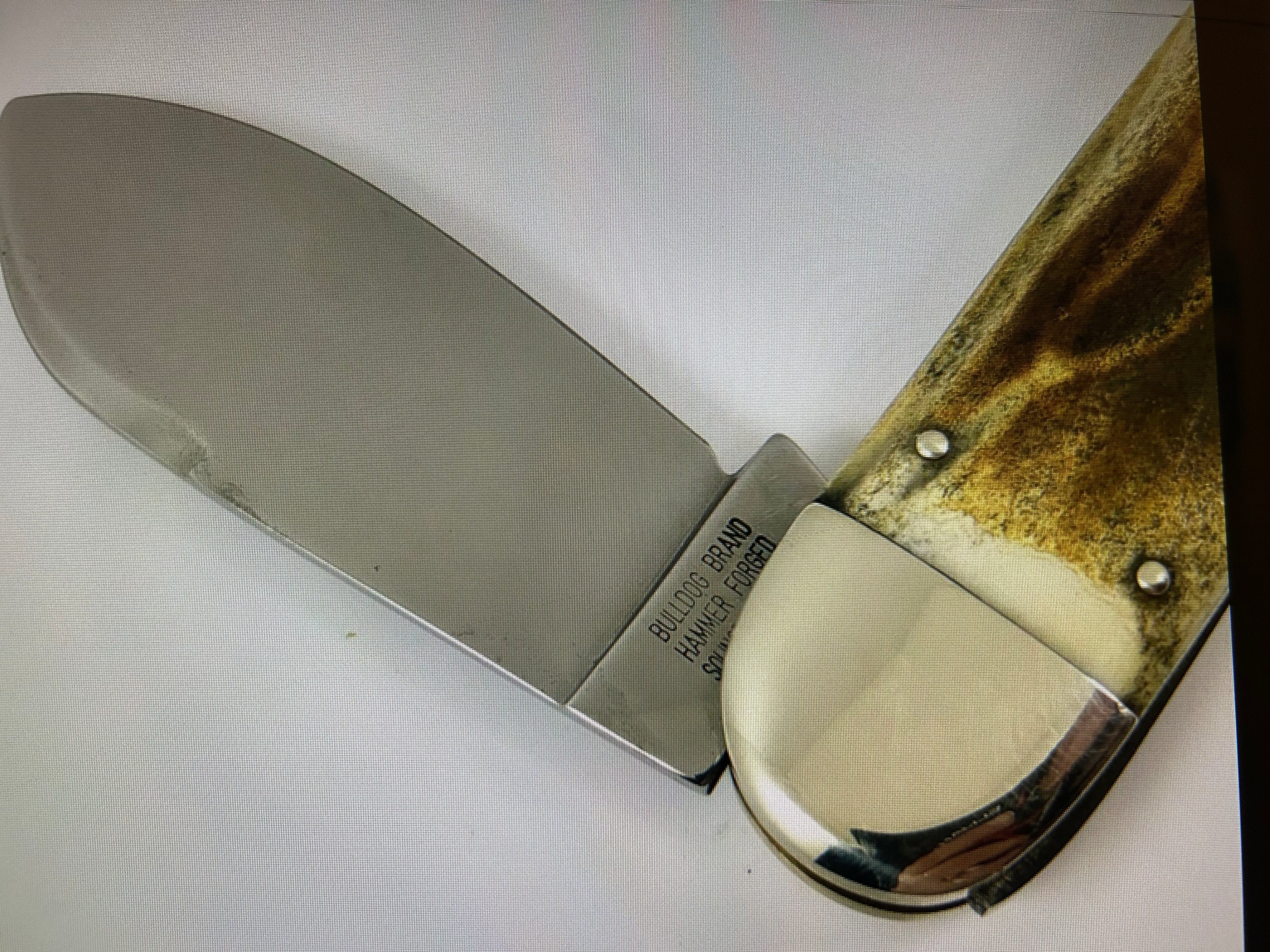 a...CASE XX USA Museum 3" Blade Carbon Steel Smooth Bone Elephant Toe Pocket Knife Pre-Owned