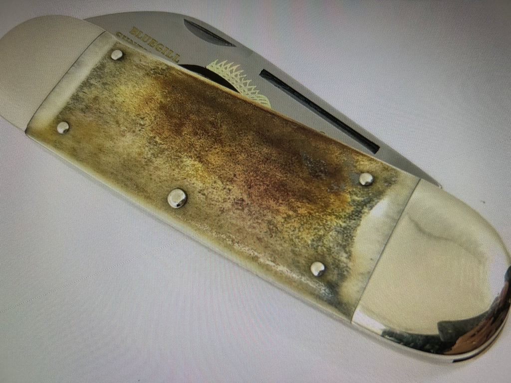 cc...BULLDOG GIANT GERMANY 8.5" Display Sunfish Knife Crystal Synthetic/Bluegill Vintage Age Etch PRE-OWNED