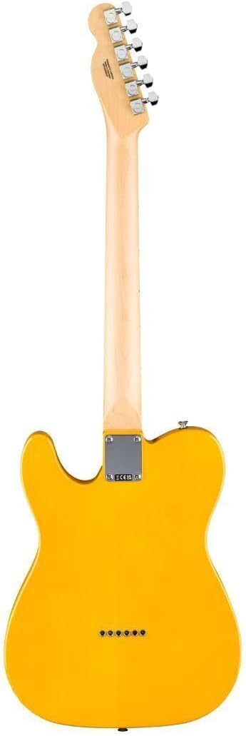 ZZZZ...  FENDER TELECASTER Standard Butterscotch Blonde GUITAR NEW