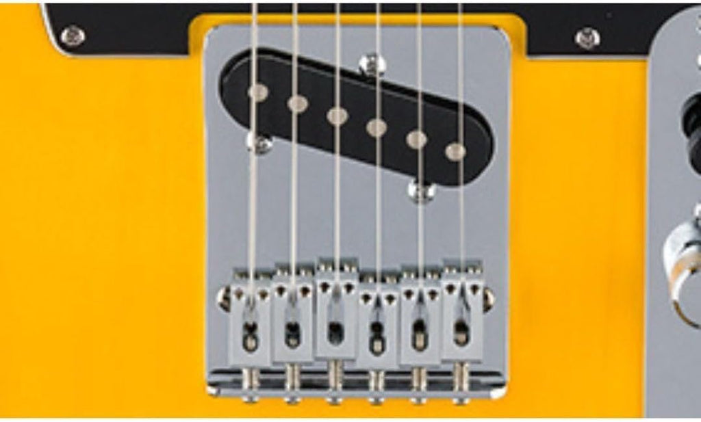 ZZZZ...  FENDER TELECASTER Standard Butterscotch Blonde GUITAR NEW